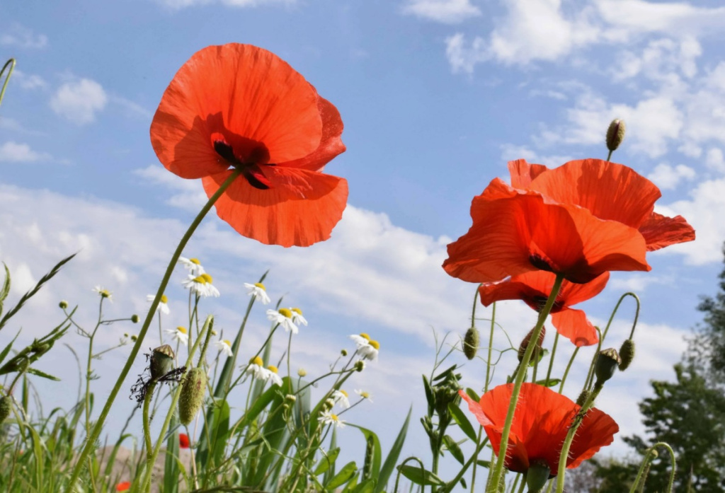 Скриншот 17-07-2024 084458.jpg Скриншот 17-07-2024 084458.jpg